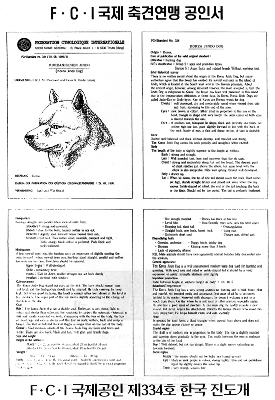 FCI 국제 축견연맹 공인서 FCI 국제공인 제334호 한국 진도개