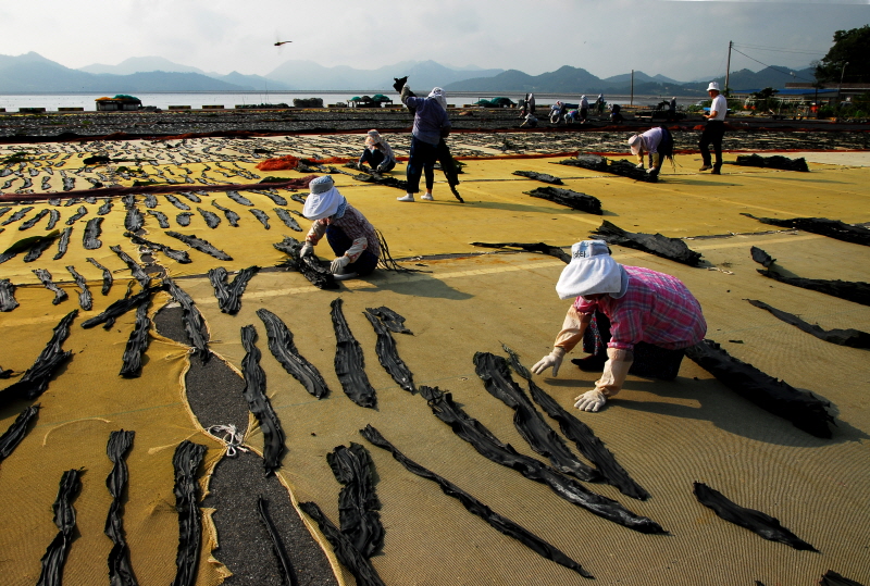 2010 관광사진 입상작(동상) 이미지