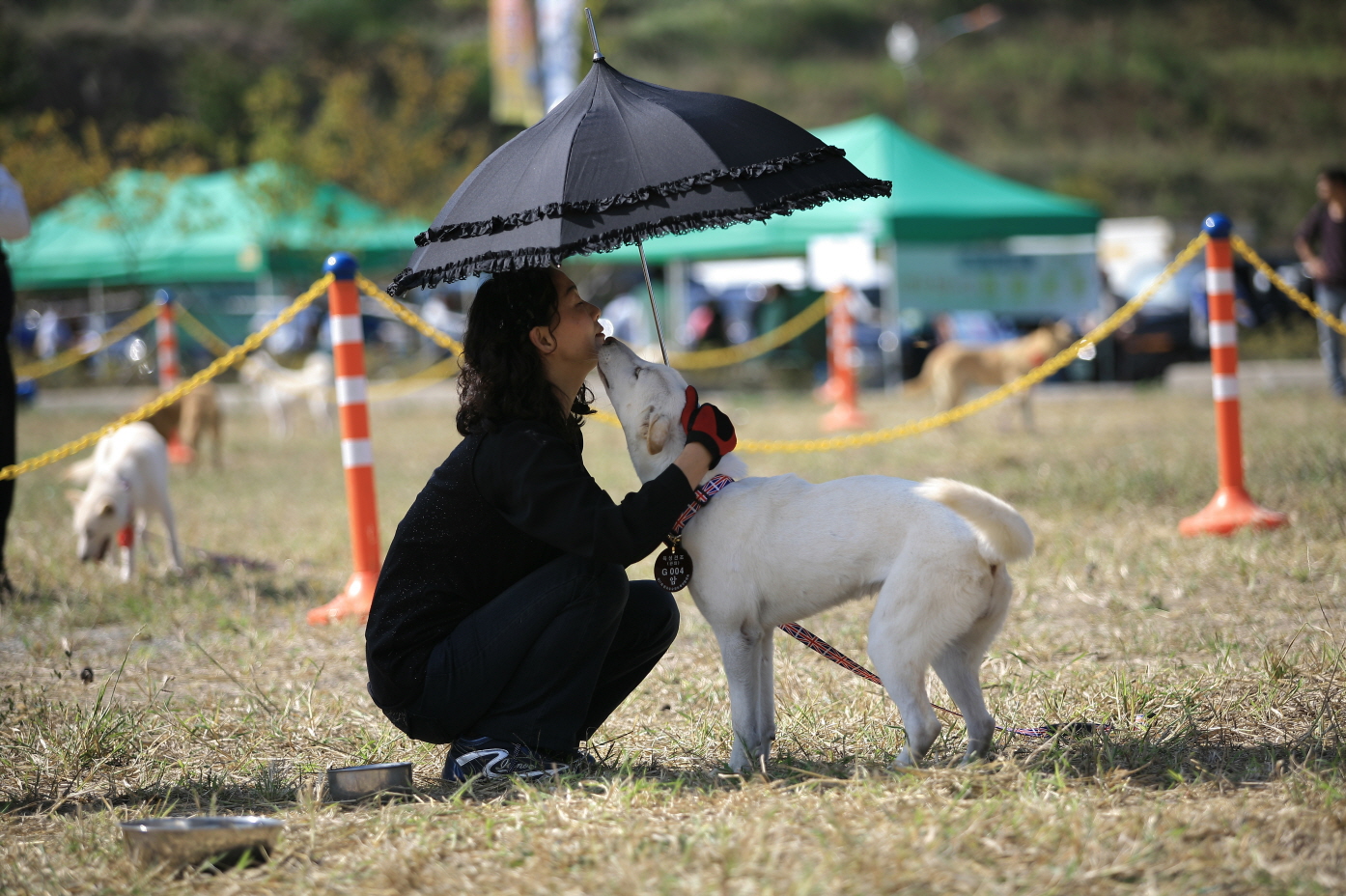 2011 관광사진 입선작(사랑) 이미지