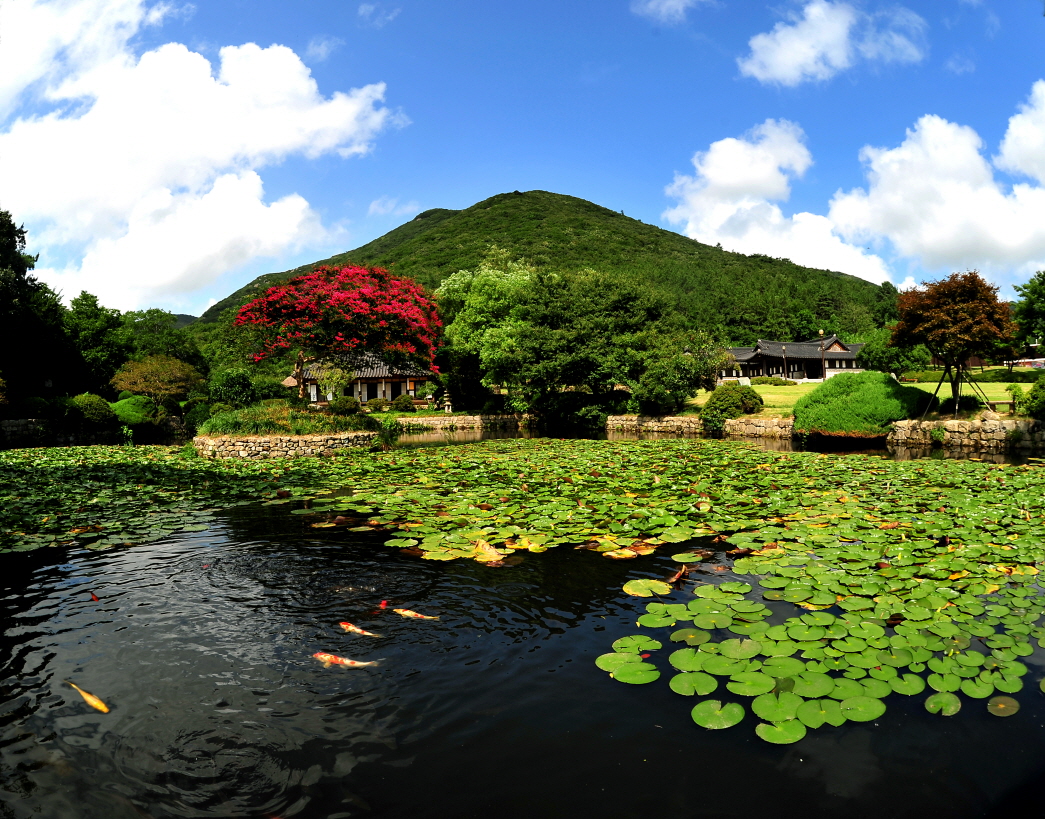 ▲ 2011 관광사진 공모전(가작 - 운림산방) 이미지