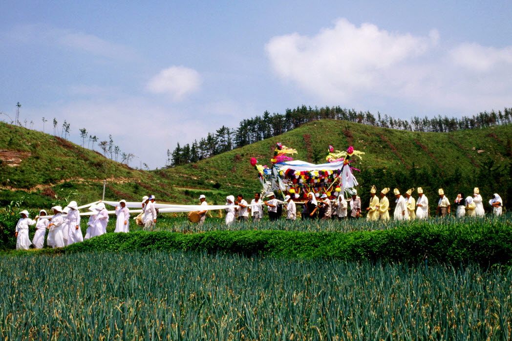 2013 진도 전국 사진 공모전 입선(마지막 가시는 길) 이미지