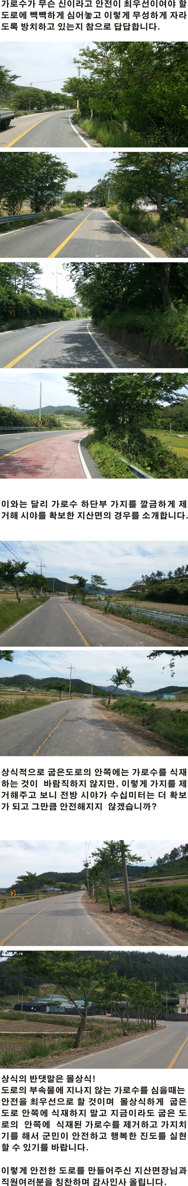 가로수 이미지