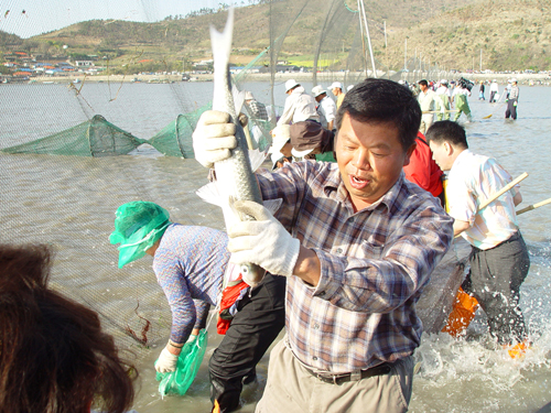 물고기도 잡고, 즐거운 추억도 남기고… 이미지