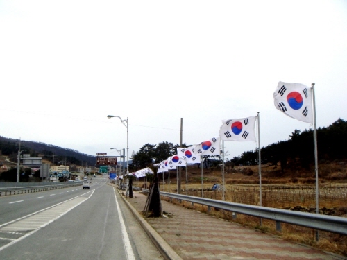 진도군, 3.1절 나라 사랑 태극기 달기 운동 전개 이미지