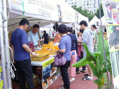 신비의 바닷길 축제 기간 동안『미·락·쿨 경매장터』로 진도 특산물을 싸게 구입하세요 이미지