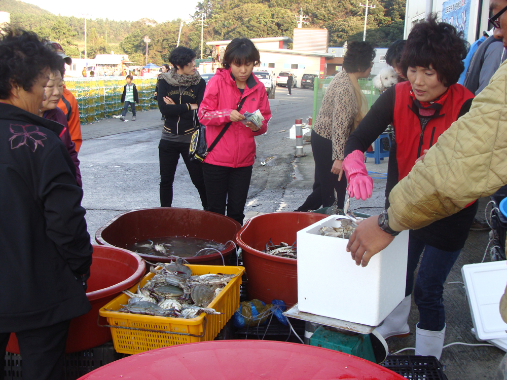 제1회 진도 꽃게 축제 이미지