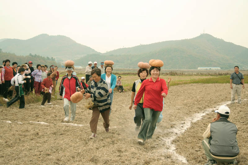 진도군에서 정겨운 가을 고향 풍경을 느끼고&#8228;즐기고&#8228;체험해 보세요!!! 이미지