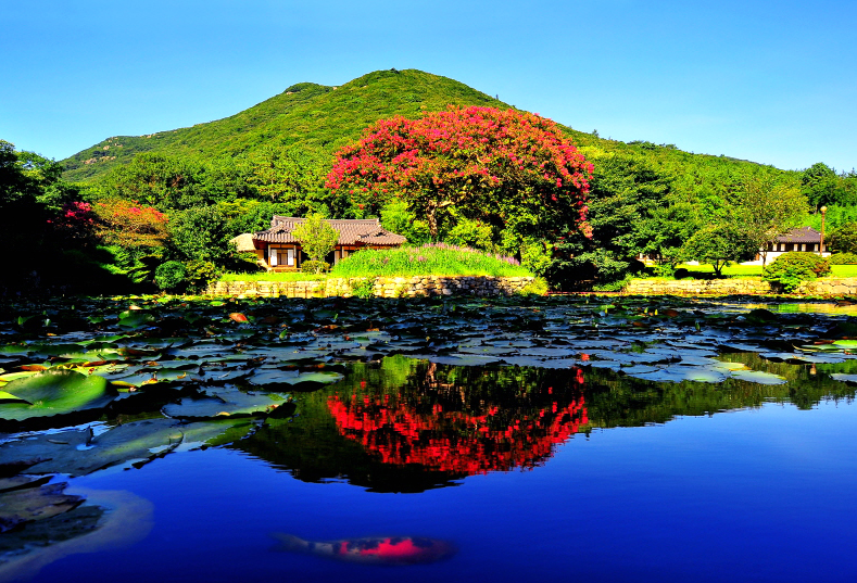 2010 진도관광 사진 전국 공모전 금상 ‘운림산방’ 이미지