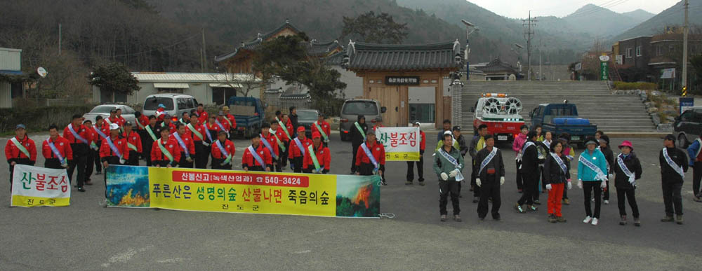 진도군, 임산물 불법 굴·채취 단속 실시 이미지