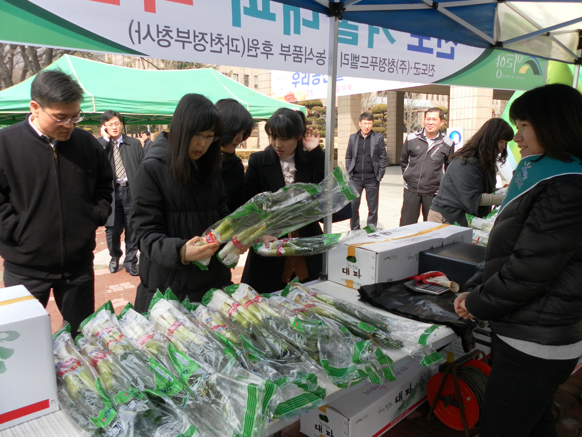 진도군, 겨울대파 판로 확보 위해 수도권 직판행사 실시 이미지