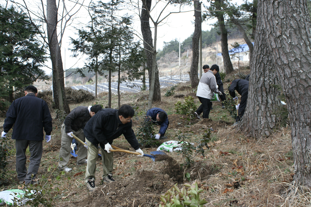 진도군, 제67회 식목일 기념 나무 심기 행사 실시 이미지