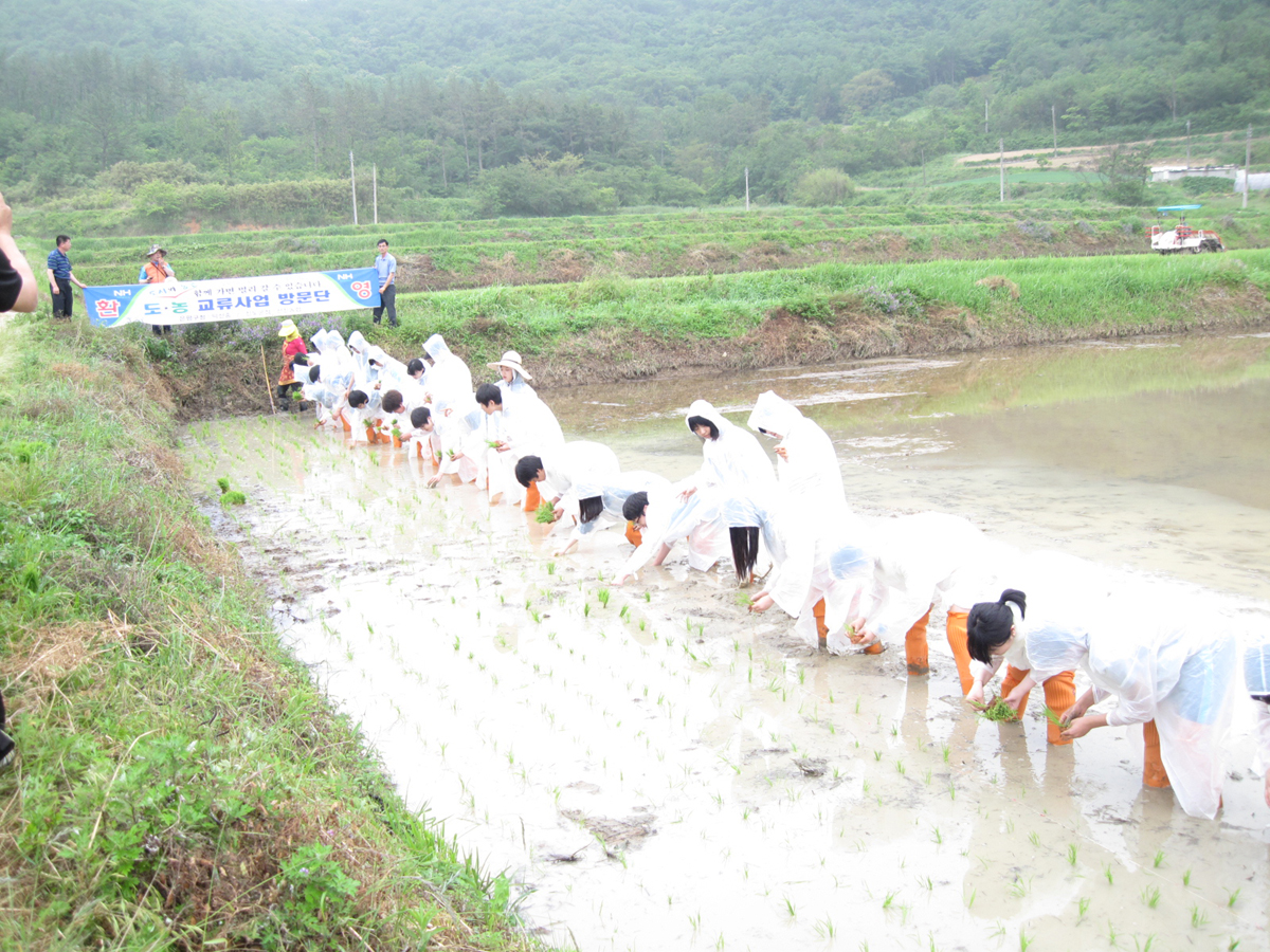 진도군, 소비자 초청 산지 체험행사 실시 이미지