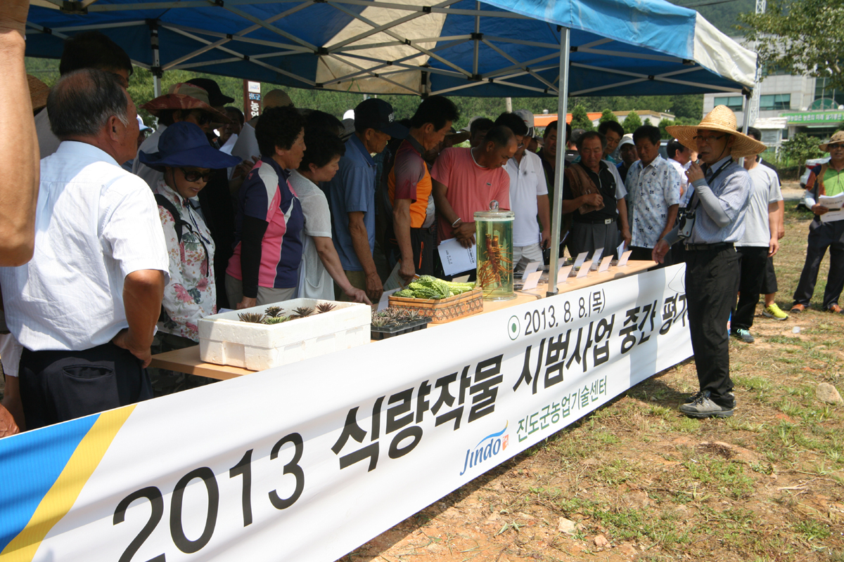 진도군 농업기술센터 시범사업 중간 평가회 개최 이미지