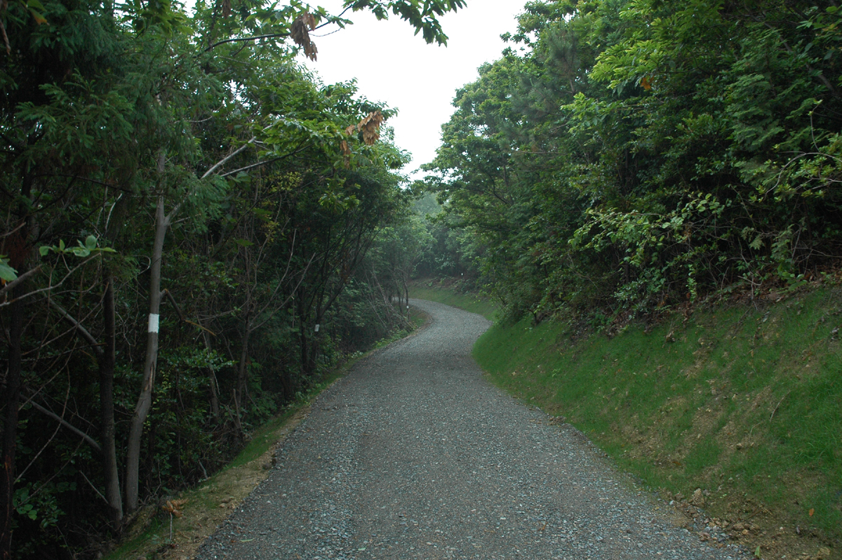 진도군, 사천-옥대간 2km 임도 준공 이미지