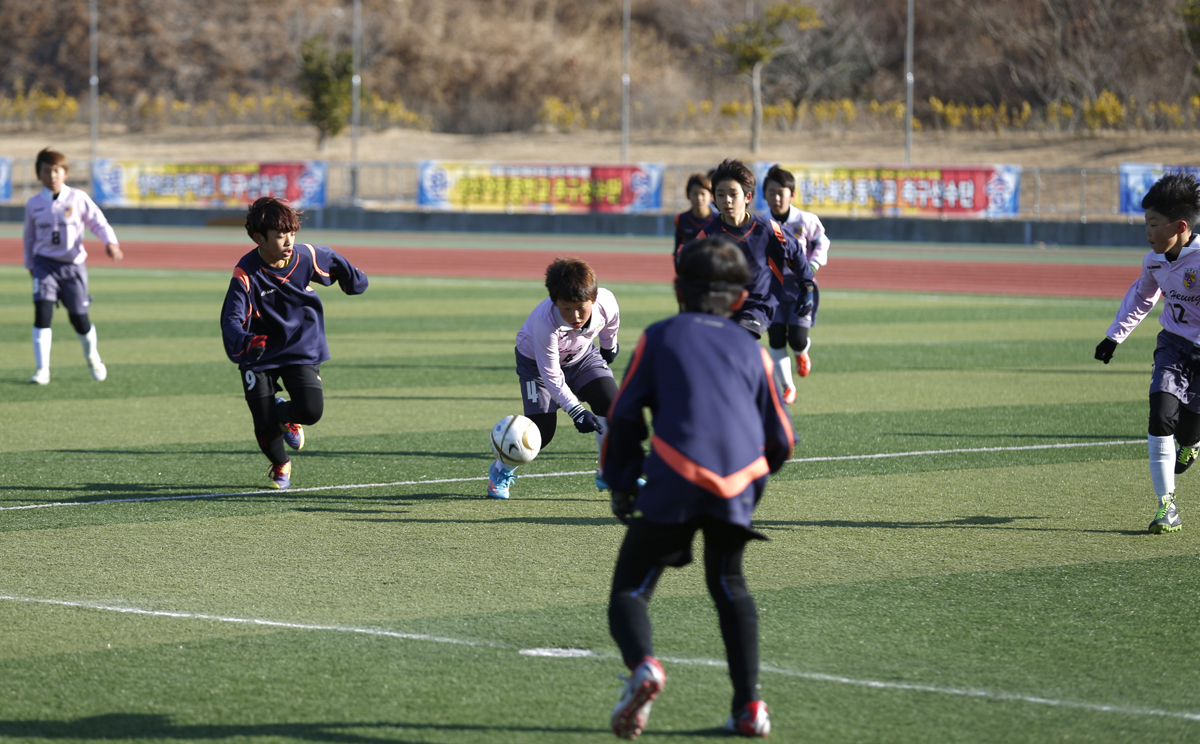 유소년 축구 최강을 가리자 이미지