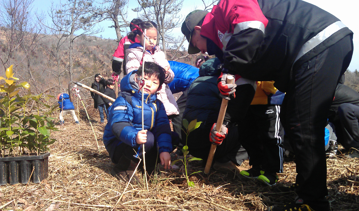 진도군에서 봄철 나무심기 행사 열려…후박나무 등 3,000그루 식재 이미지