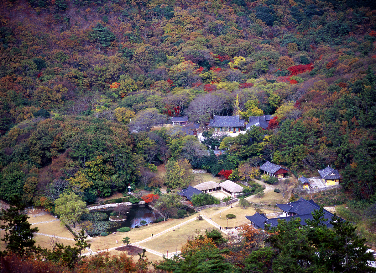 진도군 운림산방 등 관람시설 야간 개방 운영 이미지