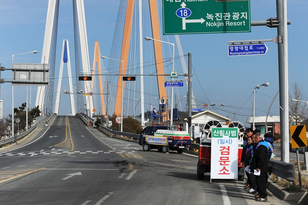 진도군, 산림보호단속 강화…올해 17건 사법처리 이미지