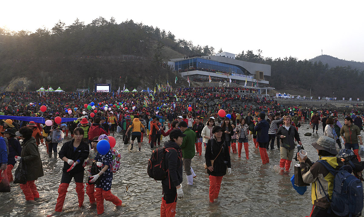 현대판 모세의 기적 ＇진도 신비의 바닷길＇ 축제 성료 이미지