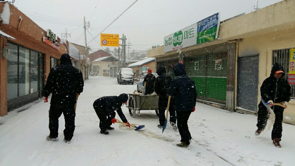 진도군, 폭설 속 주민 불편 최소화 총력 이미지