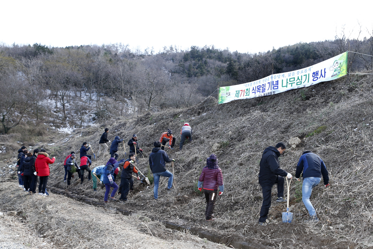 진도군 제71회 식목일 기념 나무심기 행사 개최 이미지