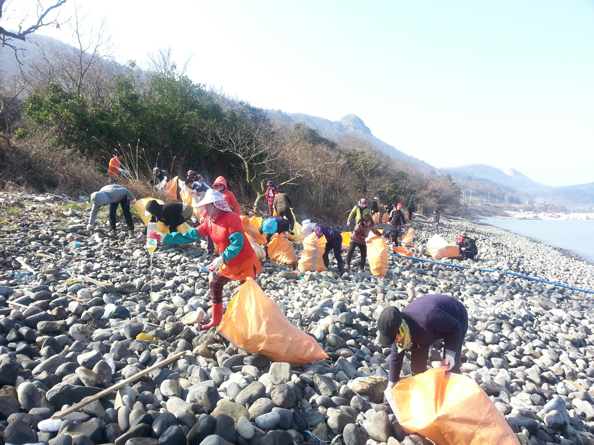 진도군 농업경영인연합회 지산지회, 바다 정화 활동 실시 이미지