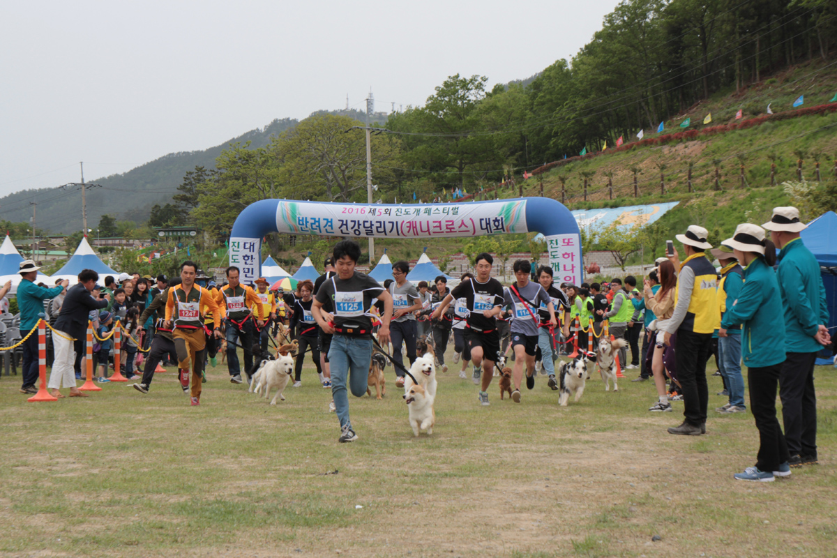 진도개 산업화 기반 마련…대한민국 진도개 페스티벌 ‘성료’ 이미지