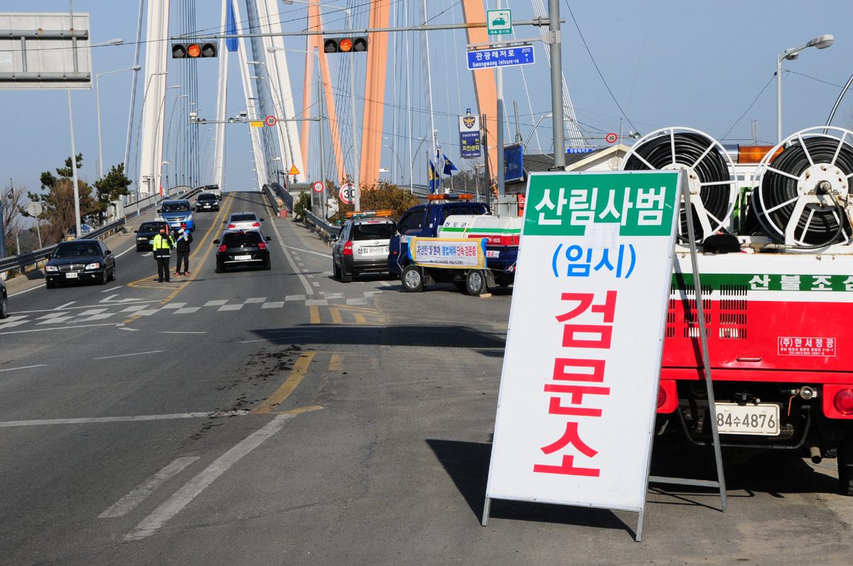 진도군 ˝산나물·산약초 등 채취 꼼짝 마˝ 이미지