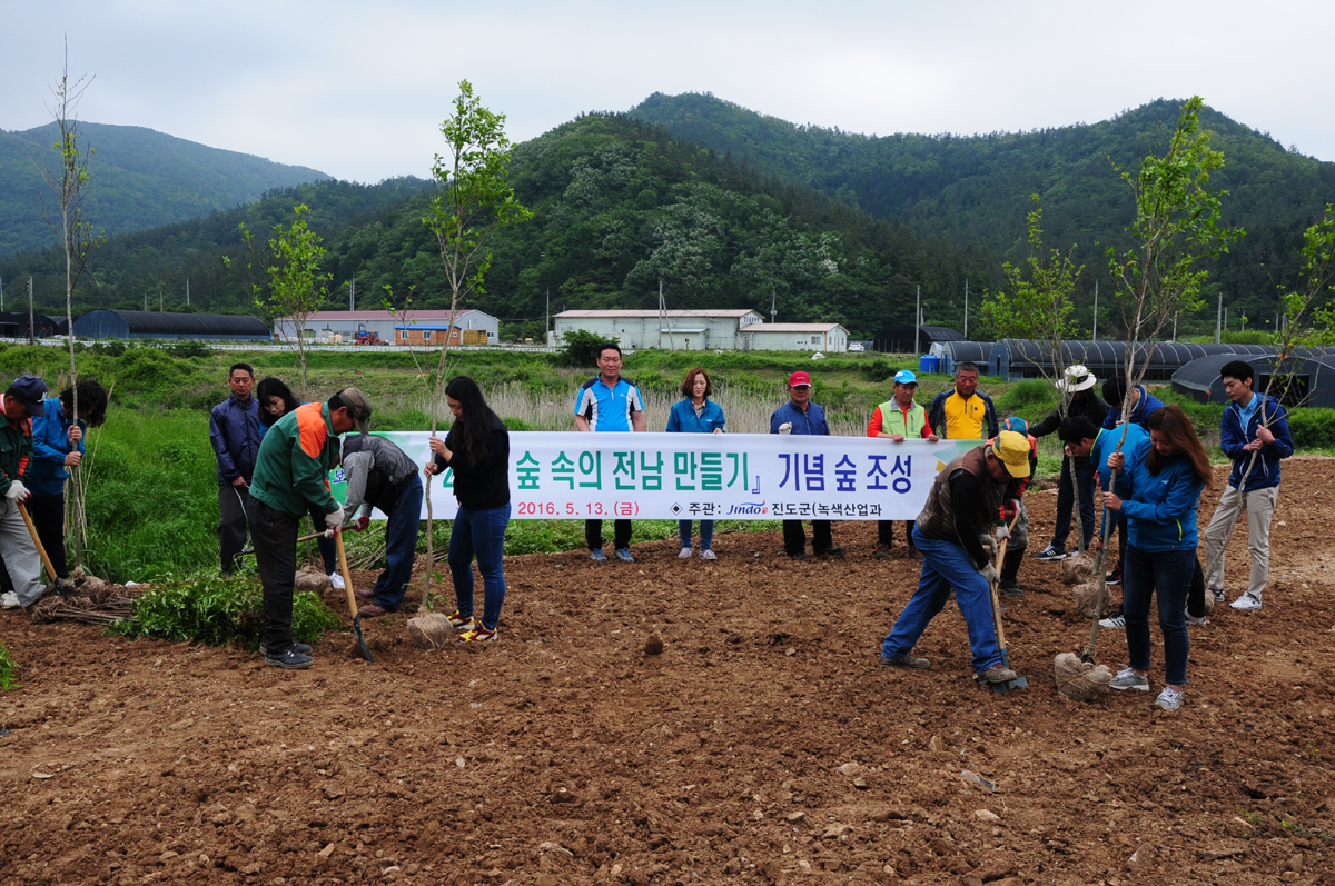 진도군, ＇숲속의 전남＇ 만들기 참여 활발 이미지