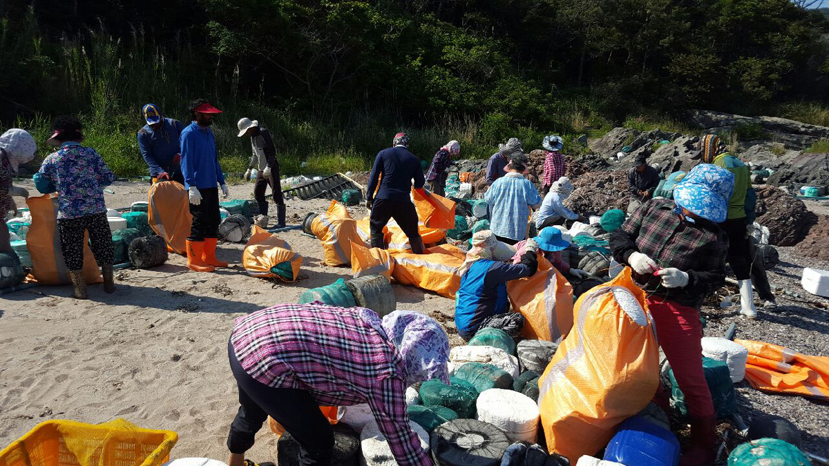 진도군 접도어촌체험마을 환경클린운동 실시 이미지