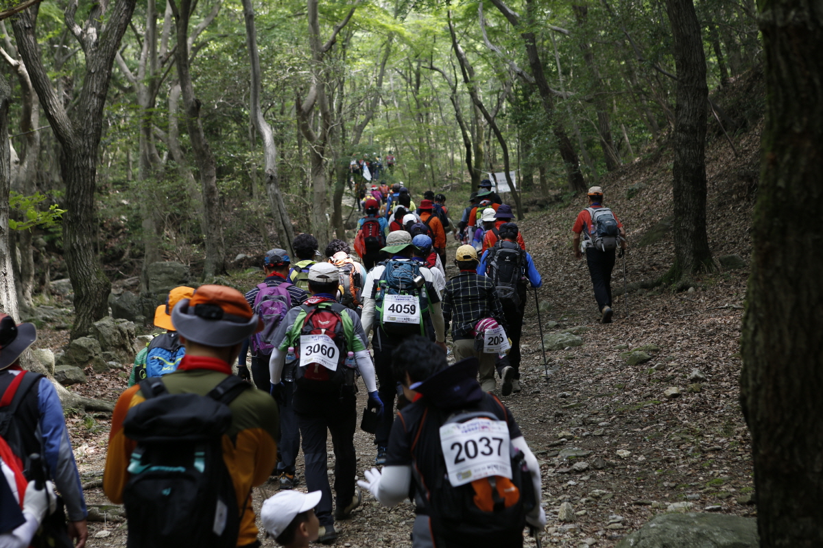 전국 등산대회, 진도군에서 오는 19일(일) 개최 이미지