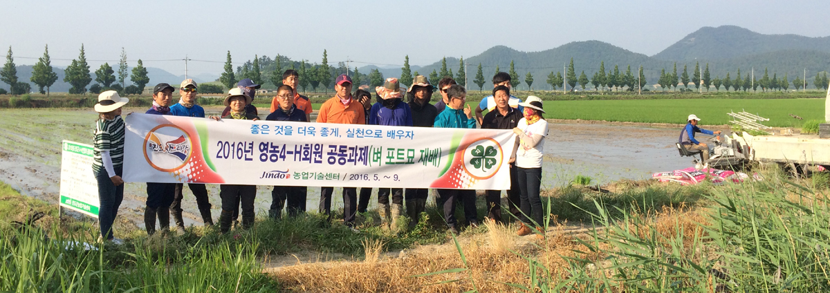 진도군 4-H연합회, 공동 과제답 운영으로 전문농업기술 습득 이미지