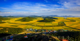 2016 진도 전국 사진 공모전 입선(동석산에서본진도의가을) 이미지