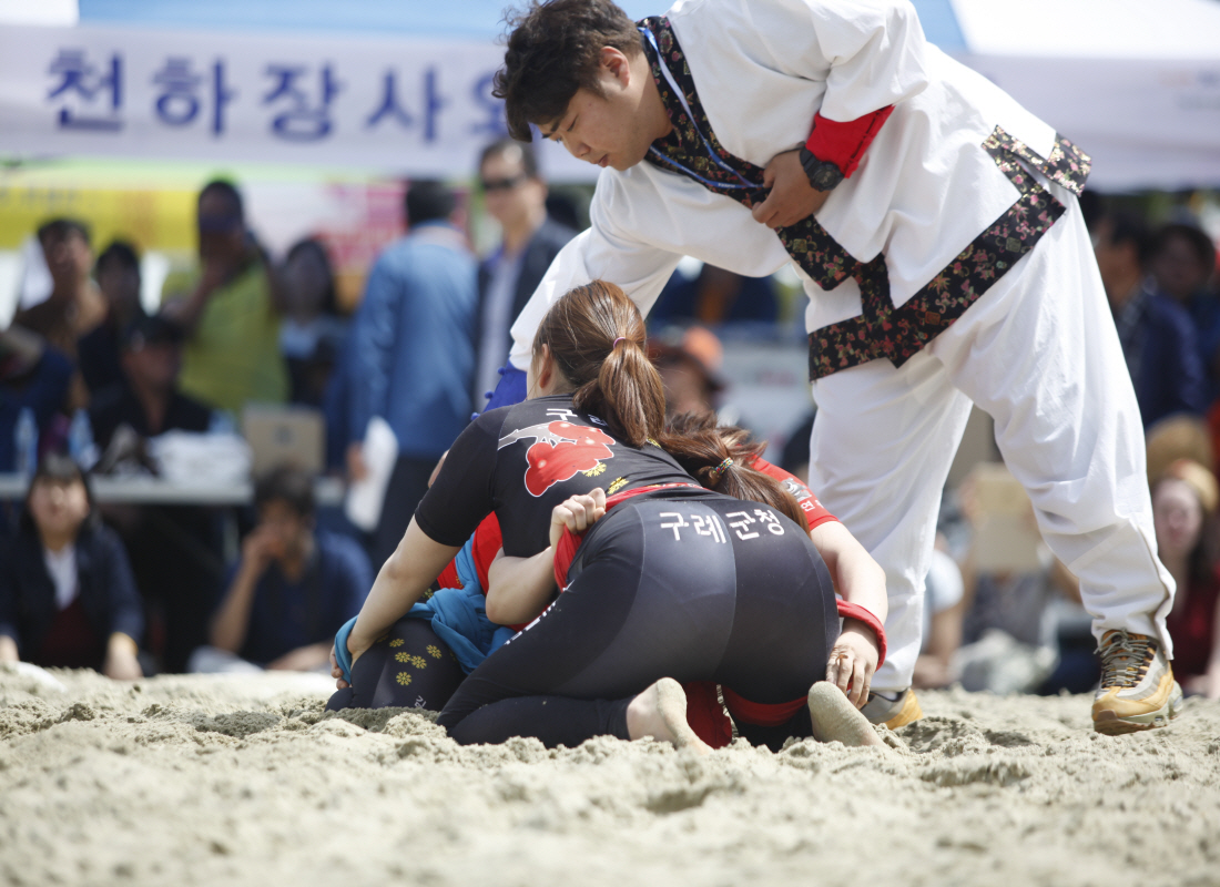 진도신비의바닷길축제 외국인 씨름대회 이미지