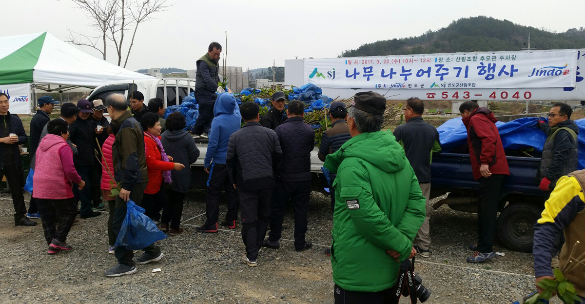 진도군, 나무 나누어 주기 행사 ‘성황’ 이미지