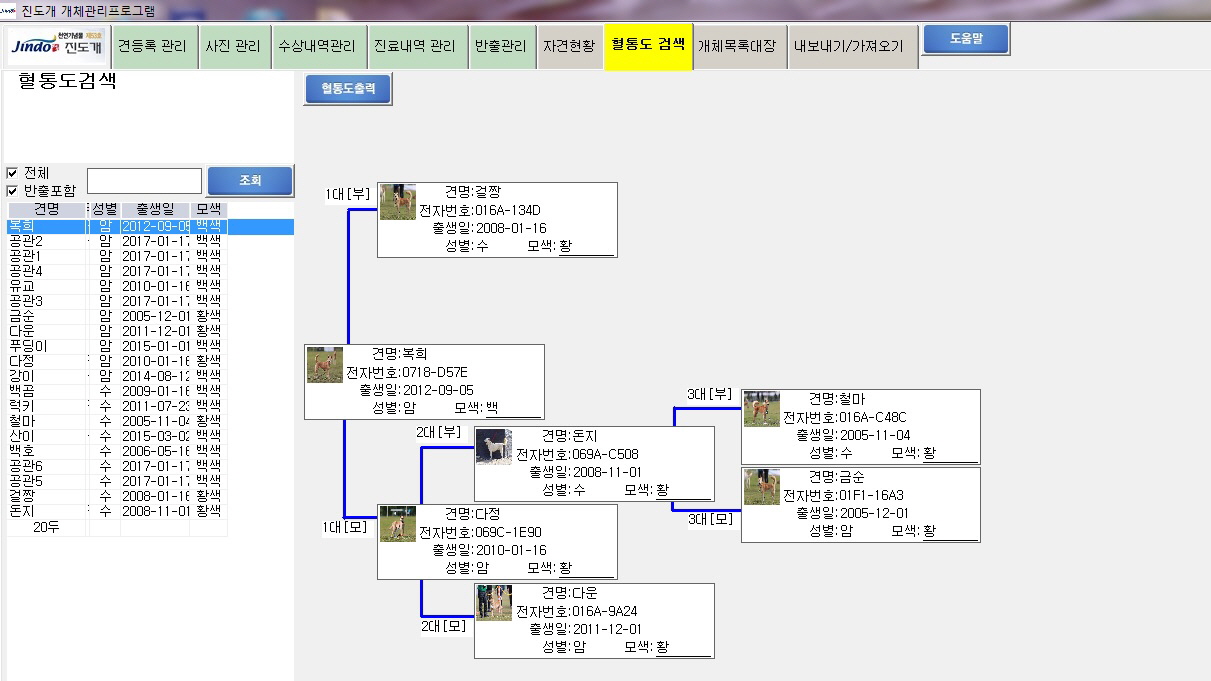 진도군, 천연기념물 제53호 진도개 체계적으로 관리 이미지