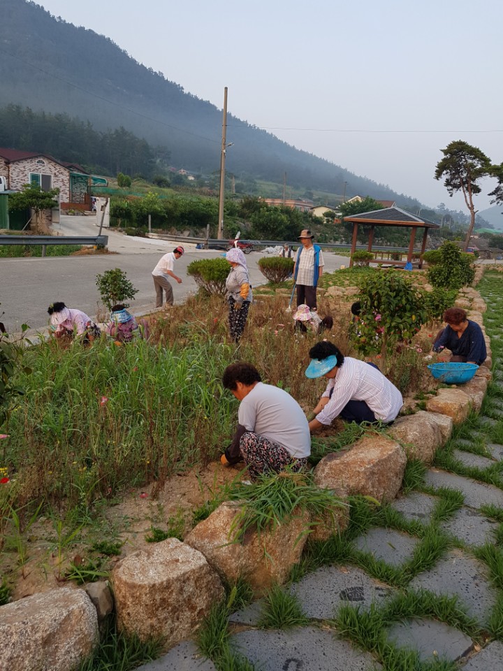 진도군, 숲 돌보미 활동 활발 등 숲속의 전남 만들기 앞장서 이미지