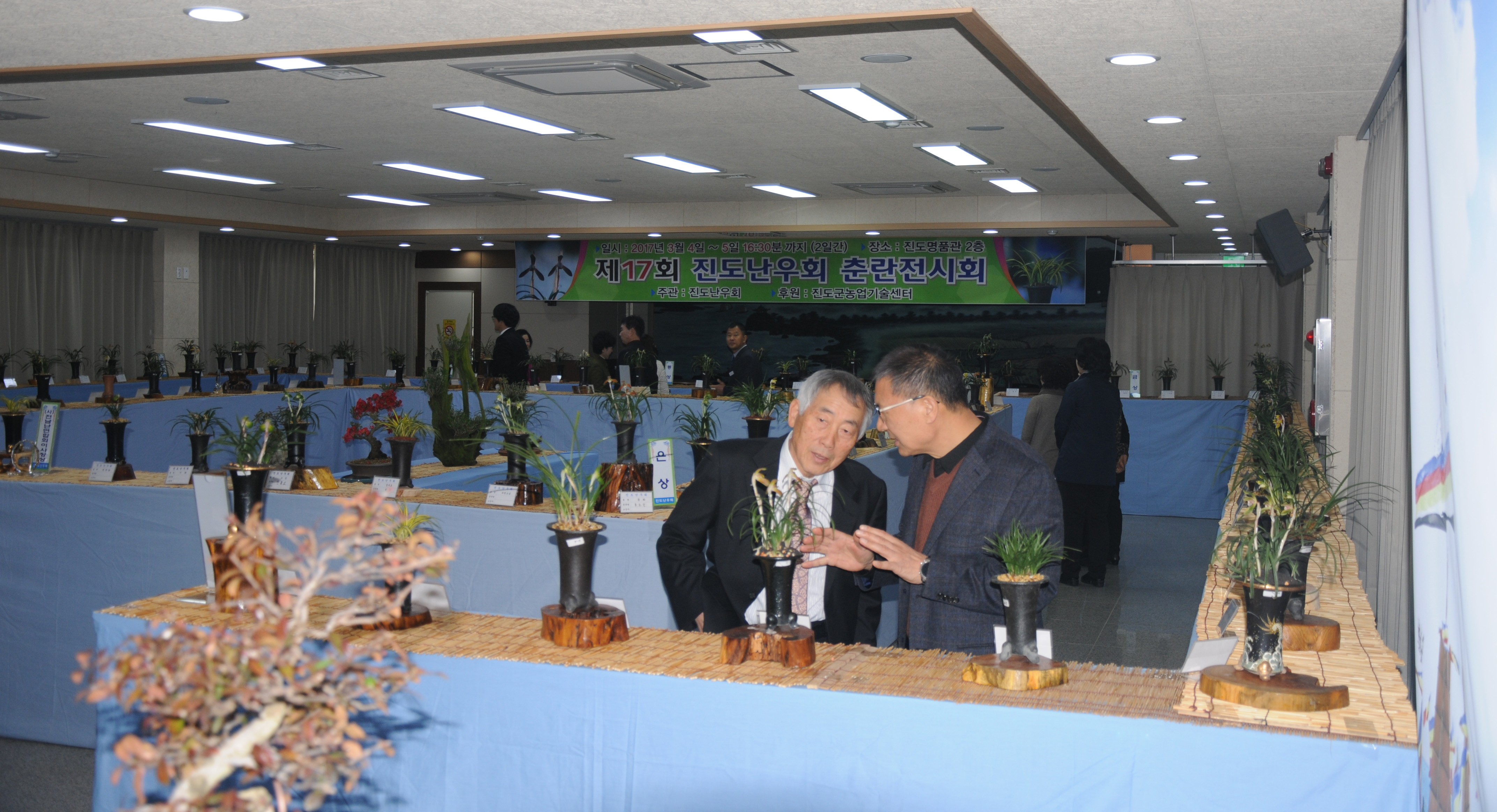 대한민국 ‘명품 춘란’ 보러 진도군으로 오세요 이미지