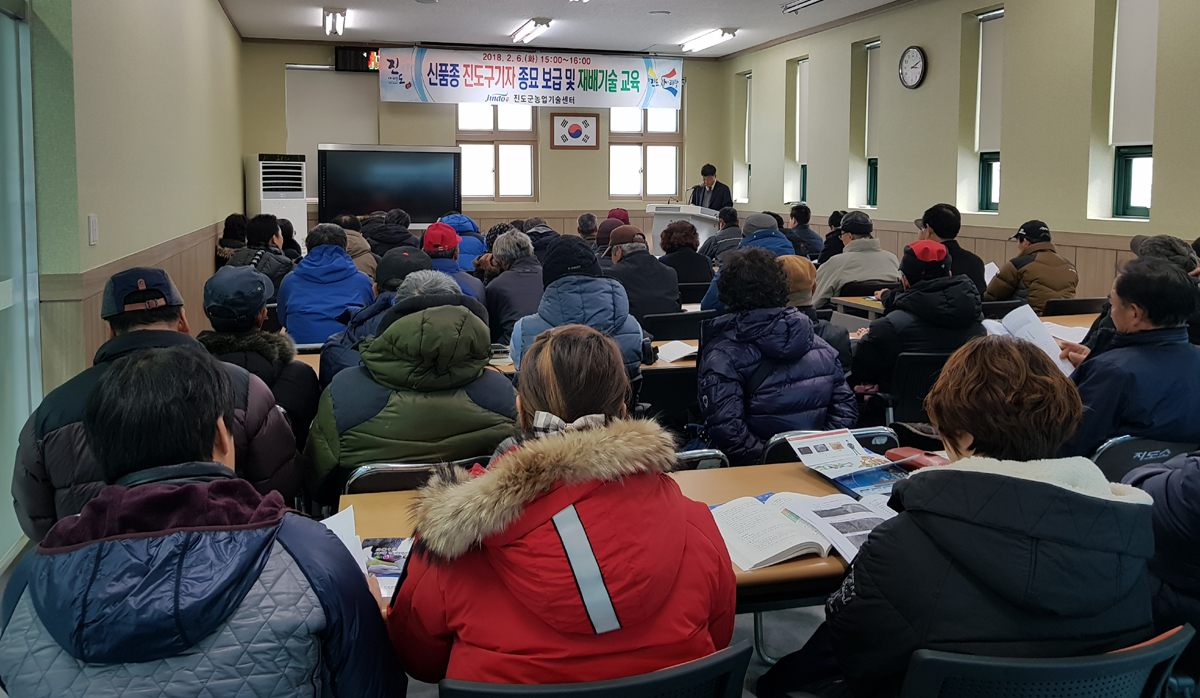 진도군, 병해충에 강한 시설하우스 재배용 신품종 구기자 보급 이미지