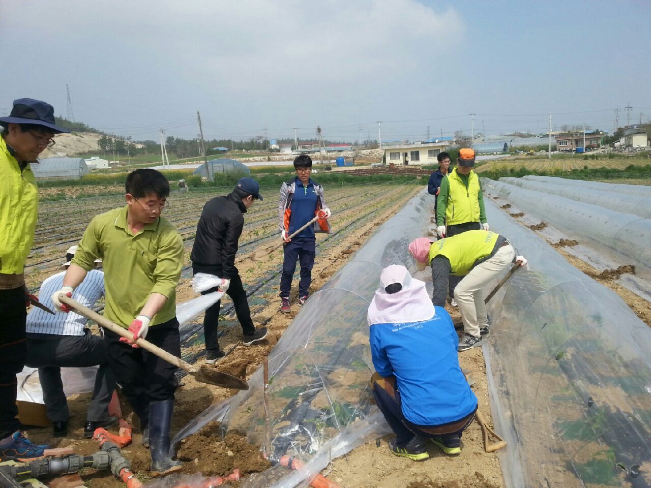 진도군, 농촌 인력지원센터 운영…2,000명 일자리 창출 이미지