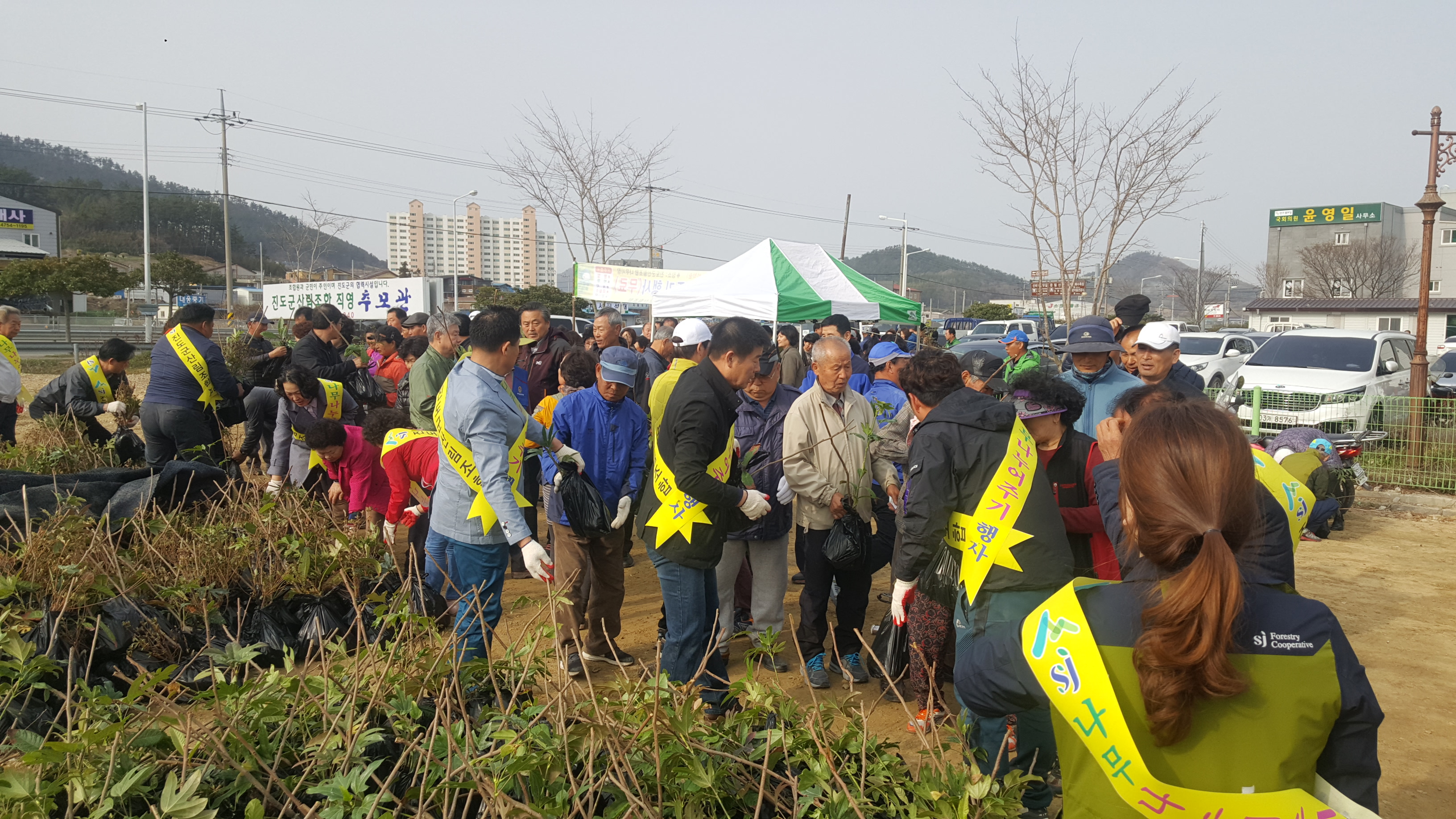 진도군, 나무 나누어주기 행사 성황 이미지