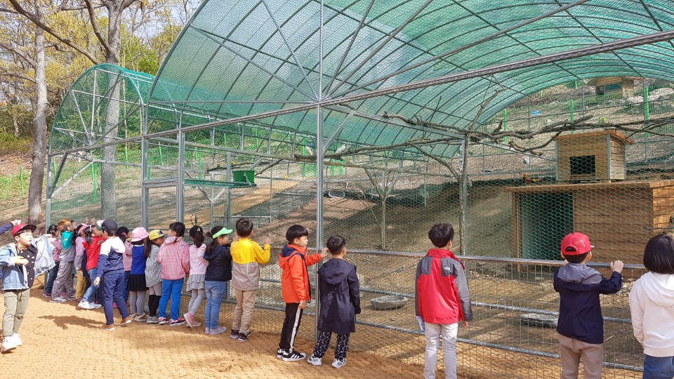 진도로 봄 나들이 오세요…진도개테마파크 새 단장 이미지