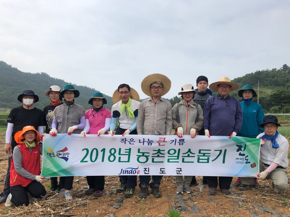 진도군 공직자, 영농철 농촌 일손돕기 실시 이미지