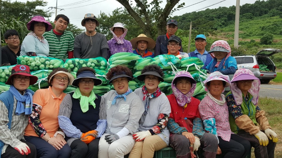 진도군 의신면, 사랑의 옥수수 나눔 행사 이미지