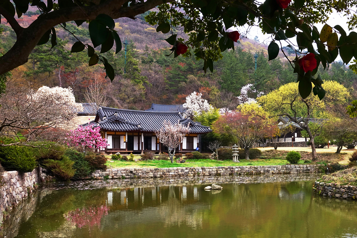 2018 진도 관광사진전국공모전 금상에 ‘운림산방의 봄빛’ 선정 이미지