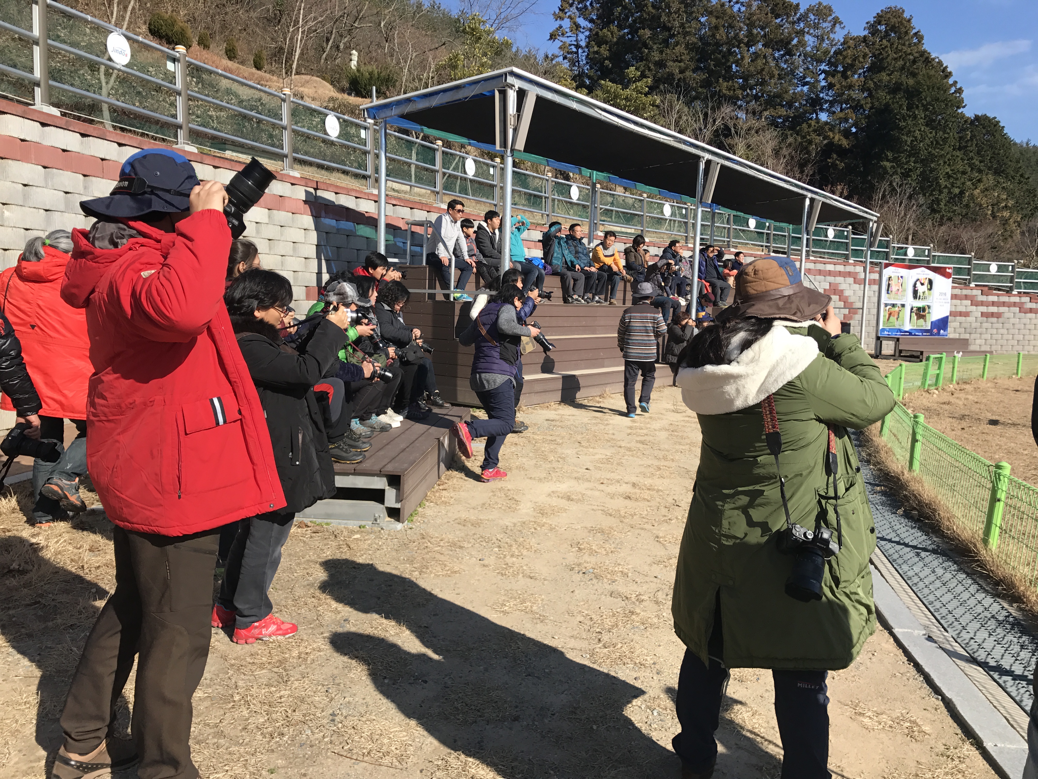 진도군, 관광객 유치 여행사 인센티브 지원 이미지