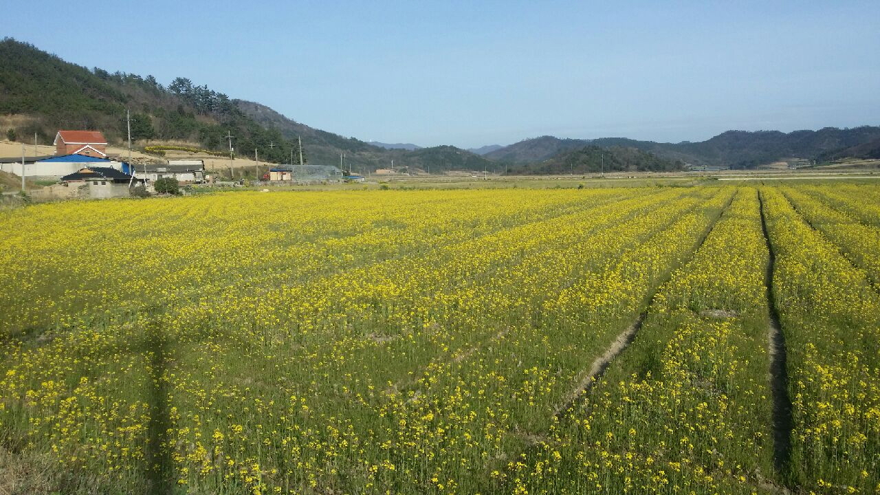 진도군, 안전농산물 생산 위한 홍보 활동 강화 이미지