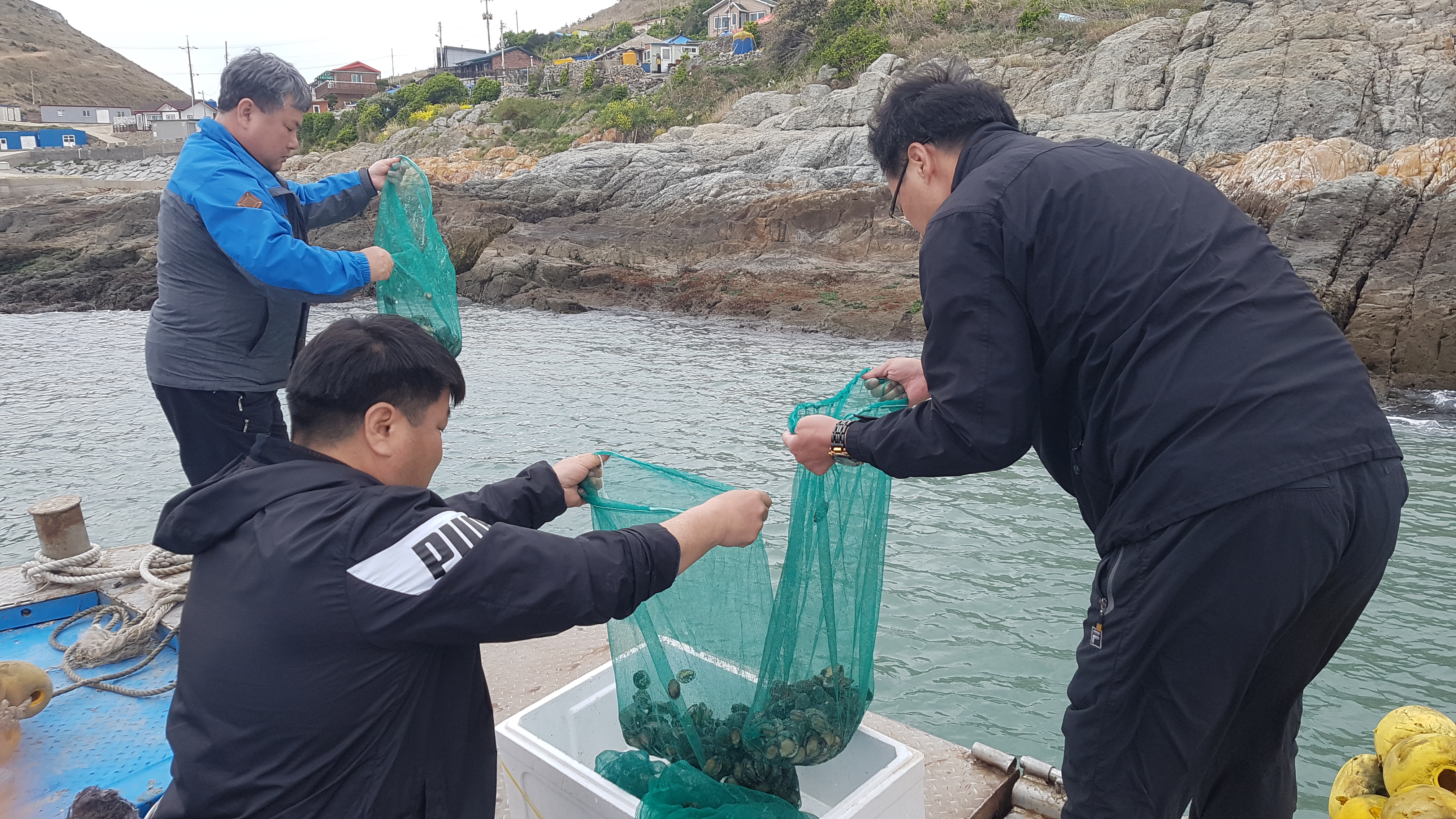 진도군, 수산 자원 방류 사업 실시 이미지