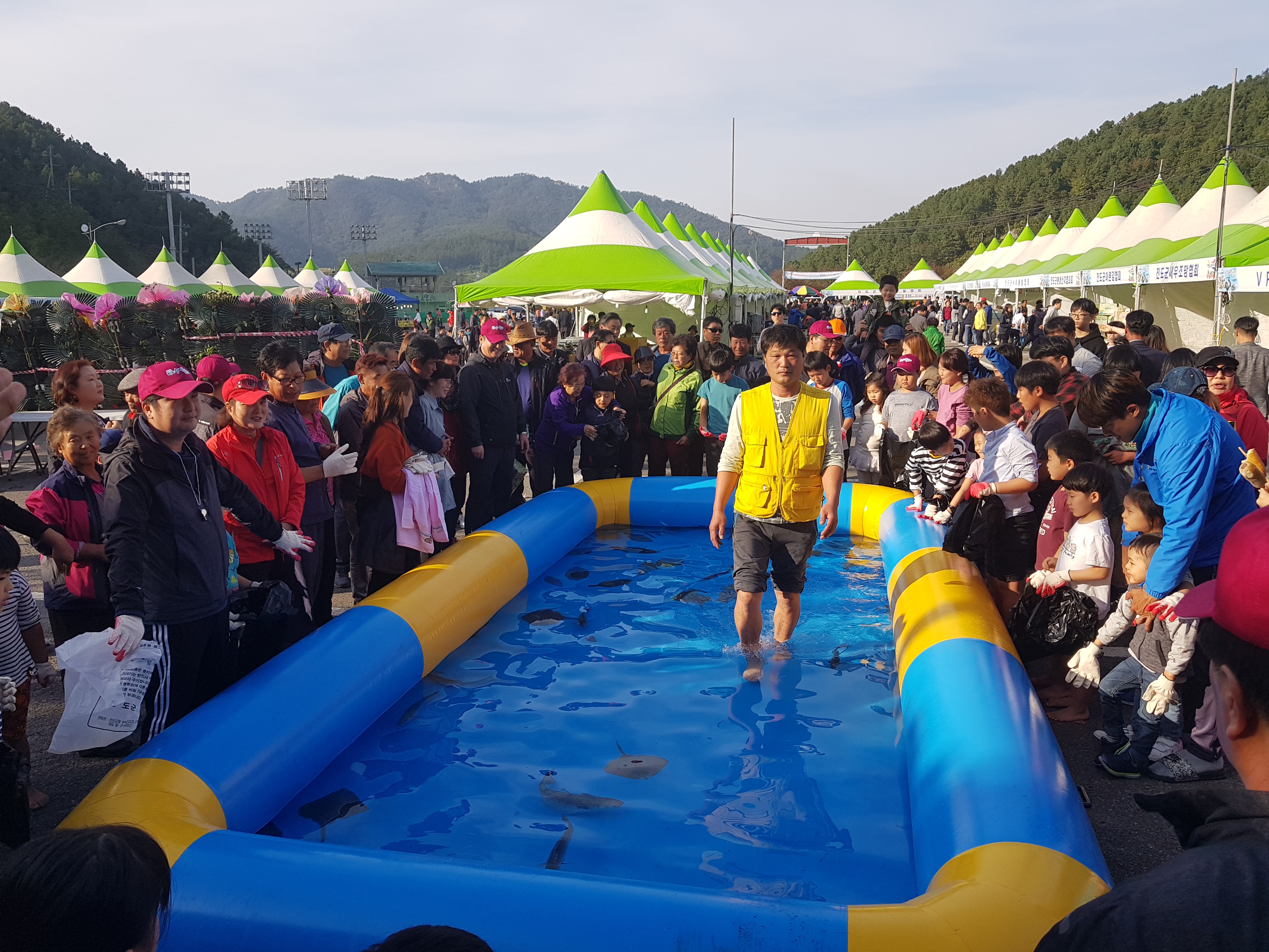 오는 26일(토)부터 제2회 진도 수산물 축제 개최 이미지