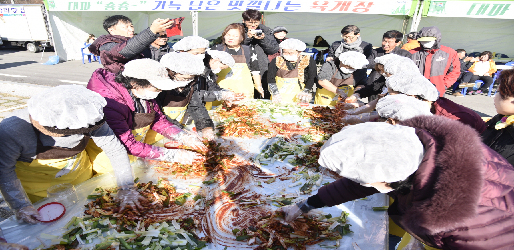 전국 대파 생산량 40%…진도군에서 오는 23일(토) 진도약대파축제 이미지